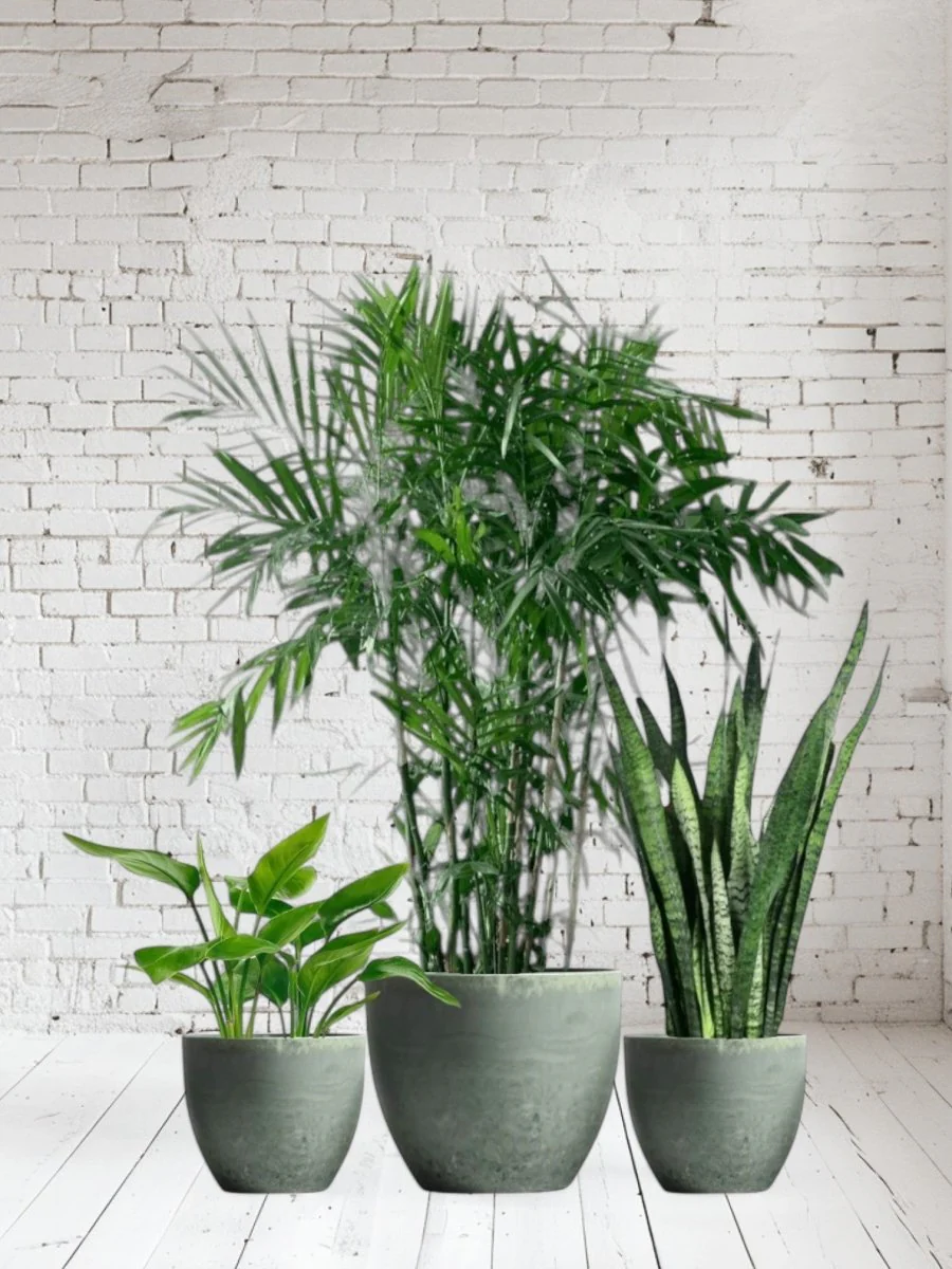 Top Seller Trio Set - Image 8
