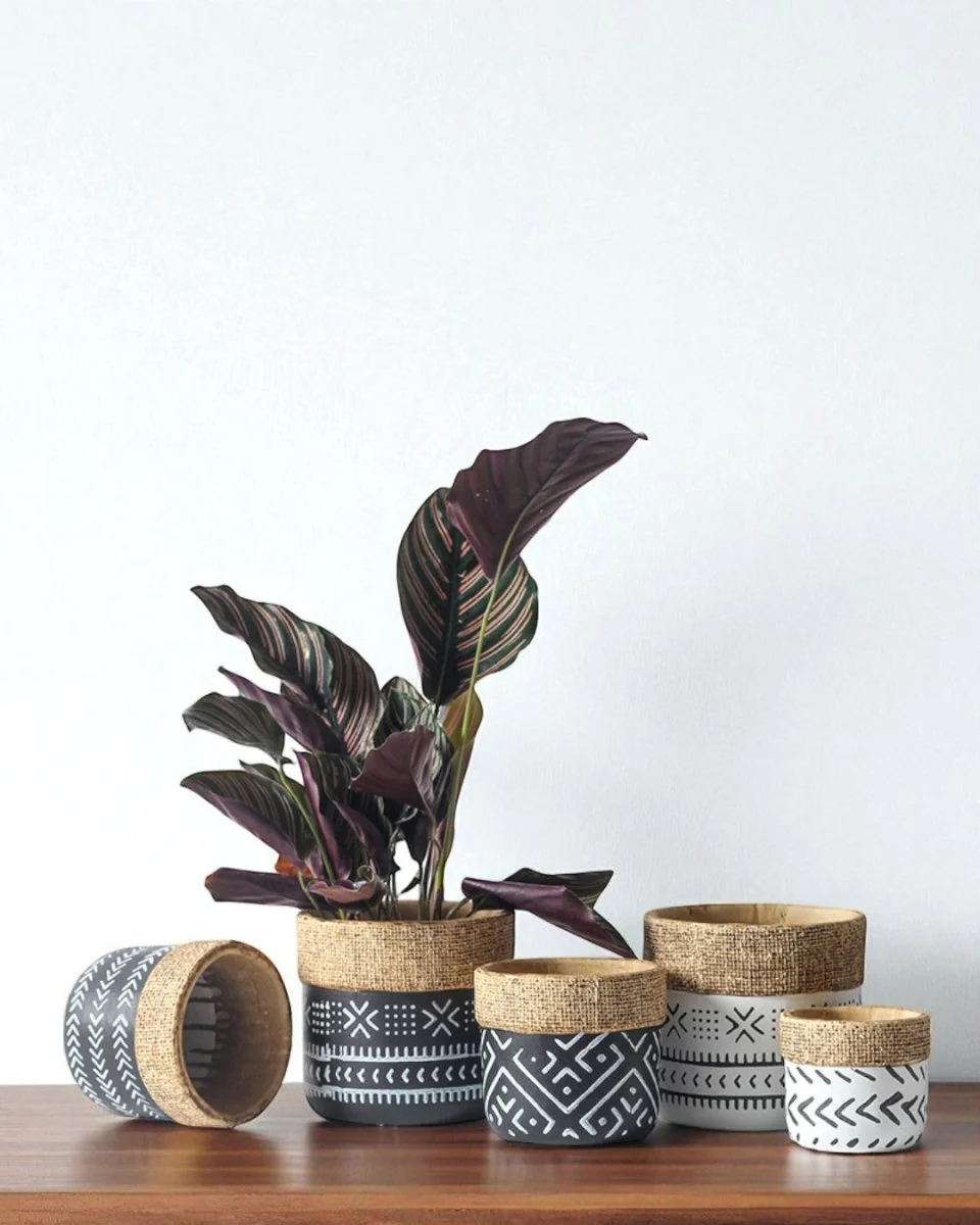 Tribal Planters - Medium