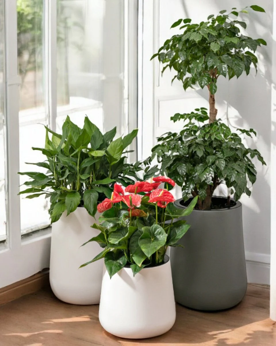 Tulip Pot - HydroEase Planter - XL