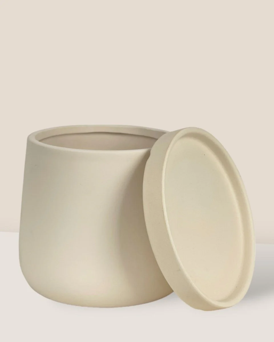 Tulip Terracotta - Small - Image 17