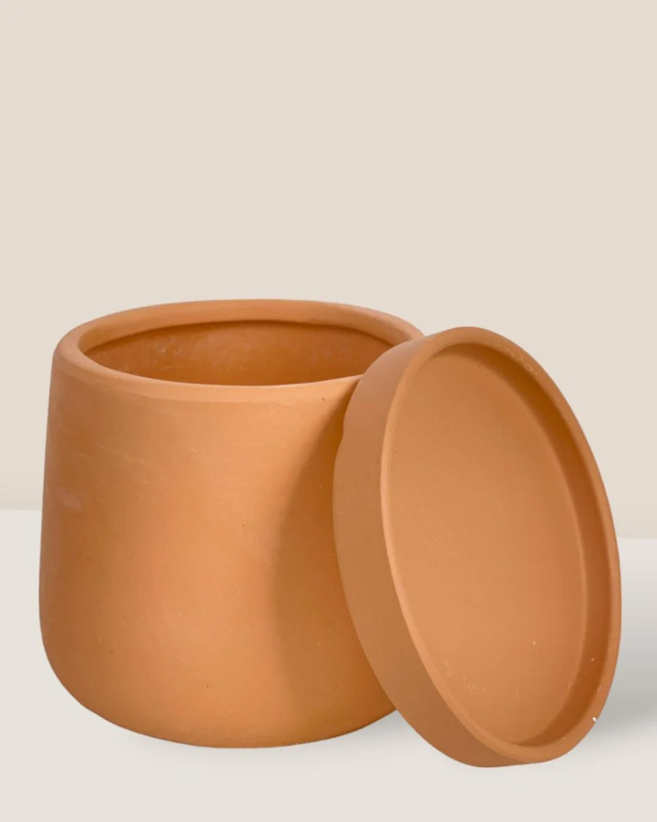 Tulip Terracotta - XS - Image 6