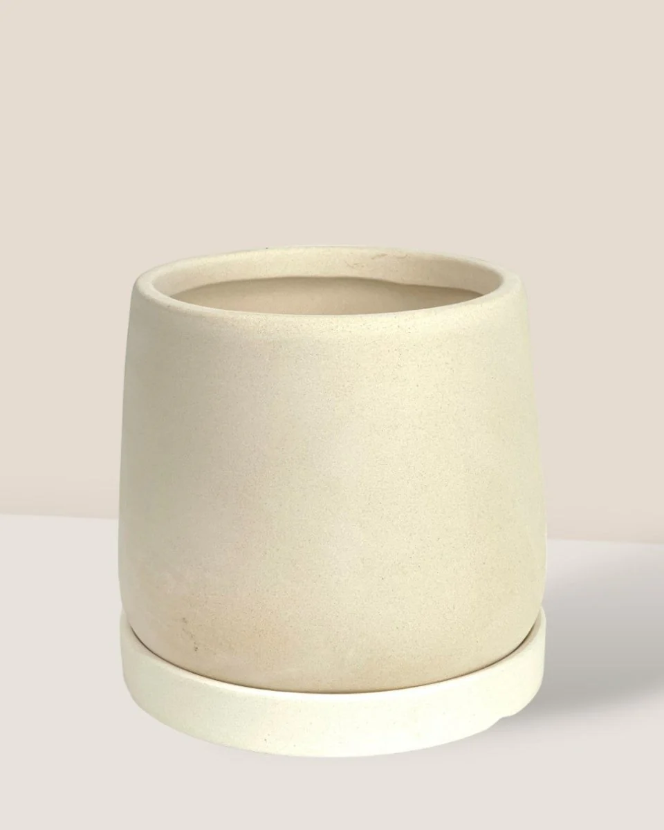 Tulip Terracotta - XS - Image 8
