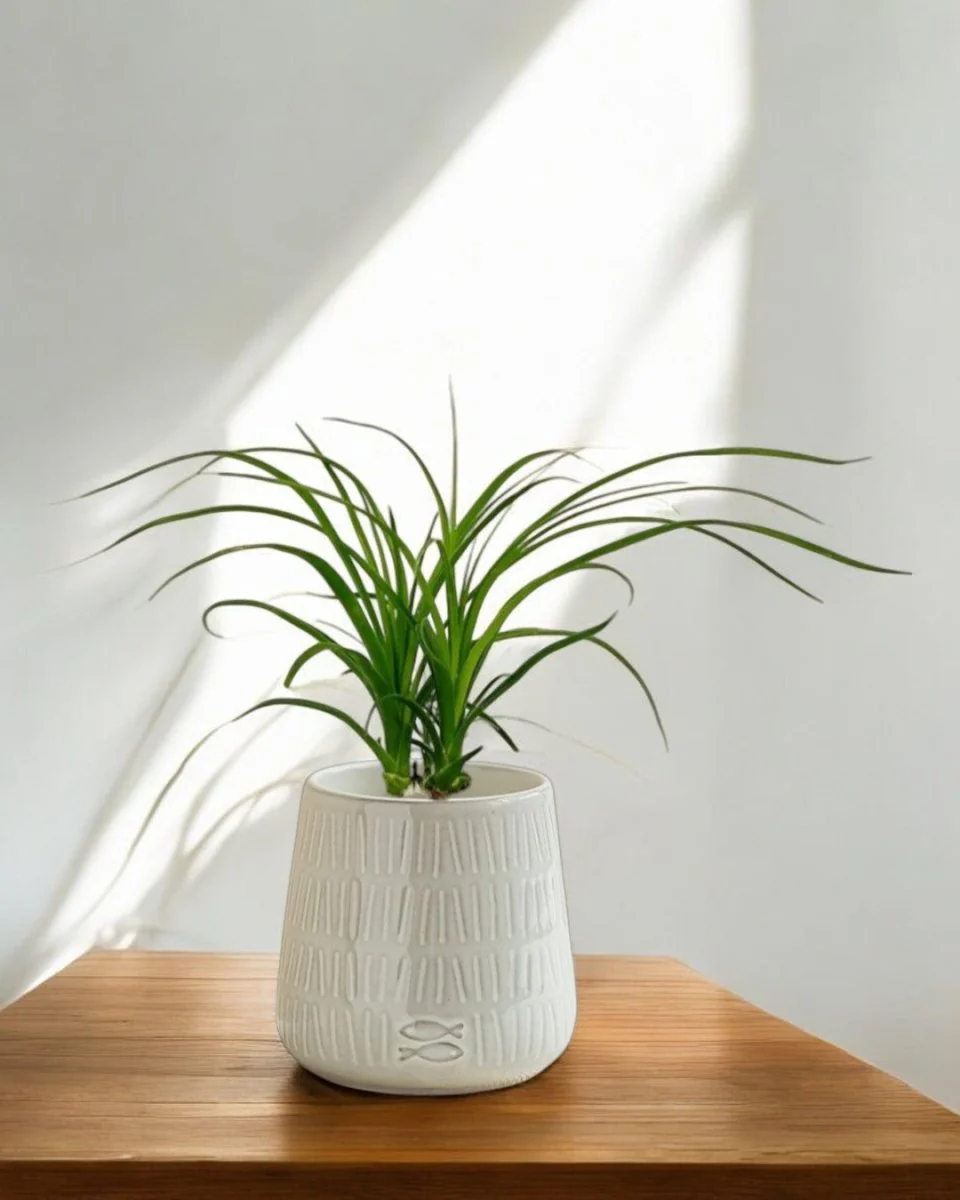 Twiggy White Glazed Pot - Image 2