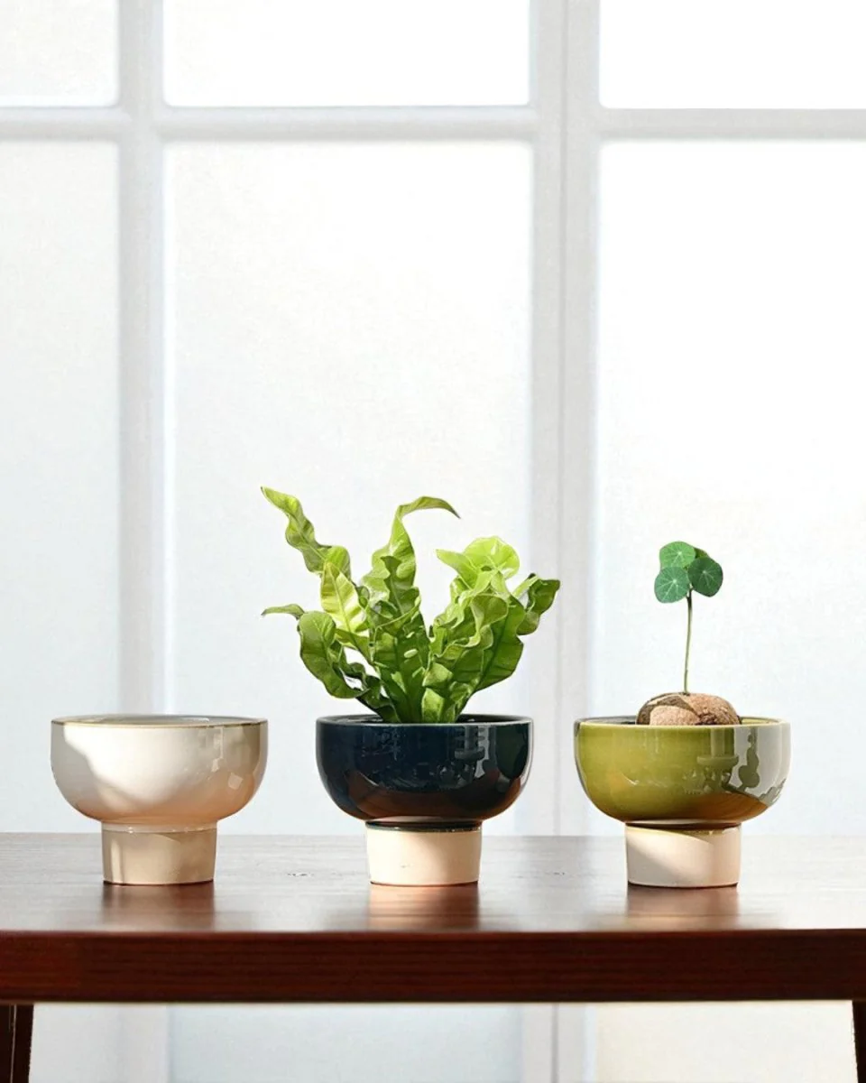 Two-Tone Bowl Pot - Image 2