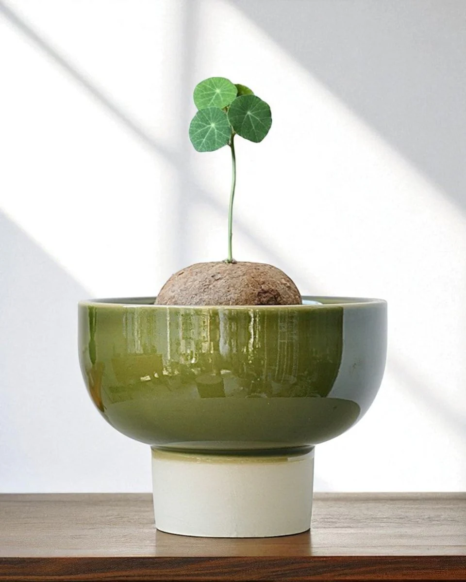 Two-Tone Bowl Pot - Image 3
