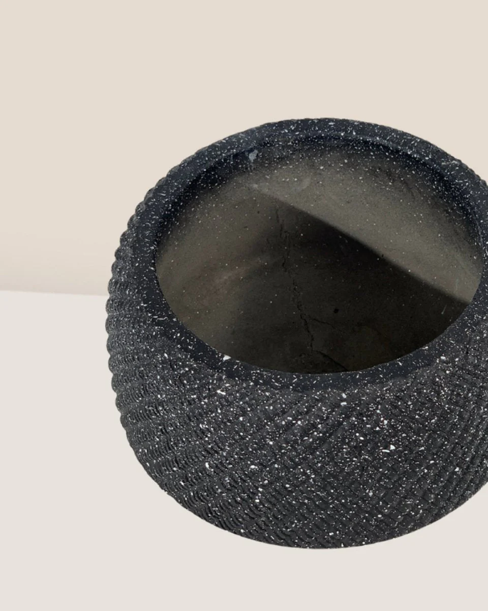 Vanga Ceramic Planter - Image 10