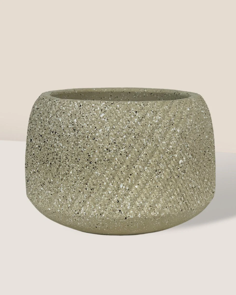 Vanga Ceramic Planter - Image 3