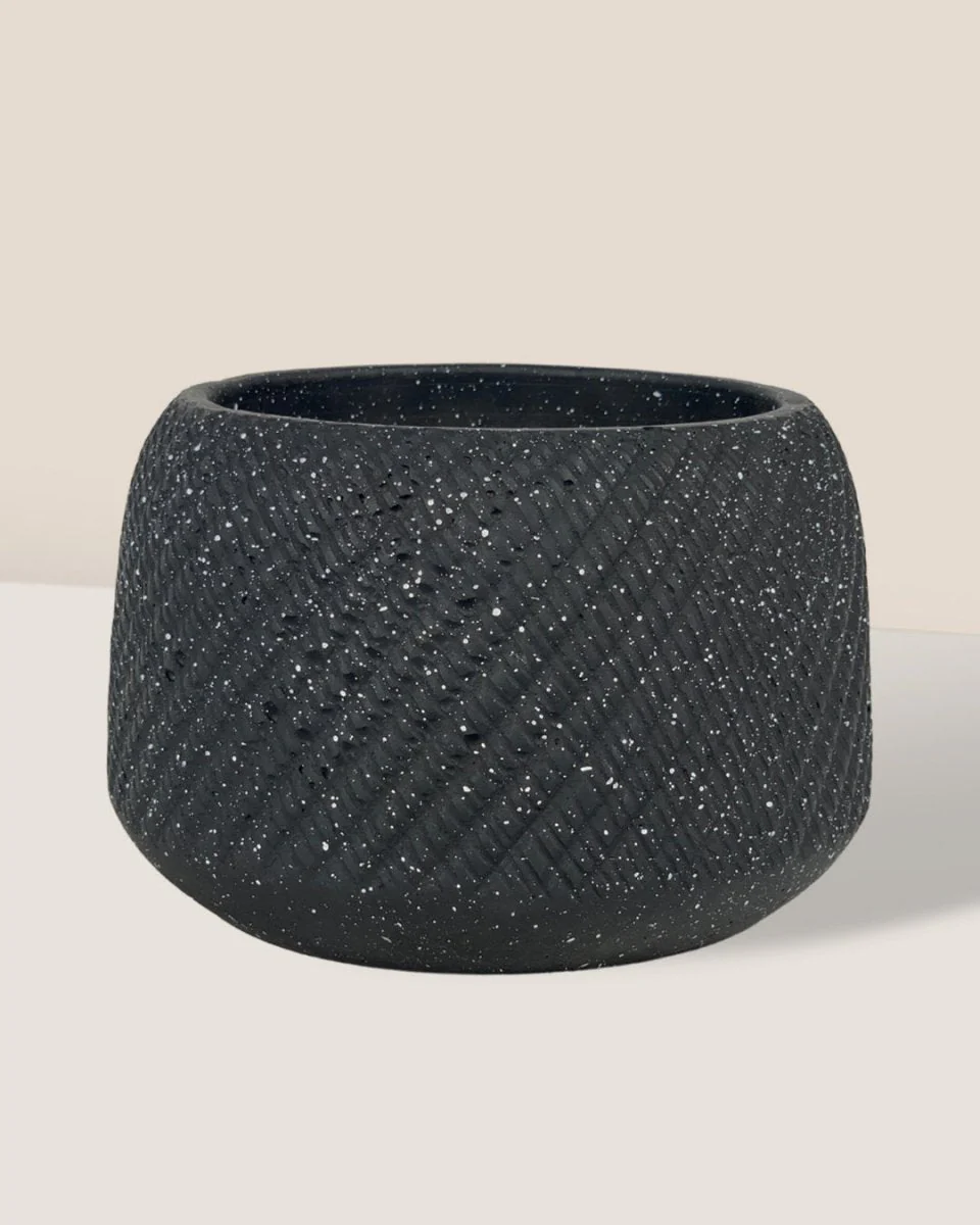 Vanga Ceramic Planter - Image 5