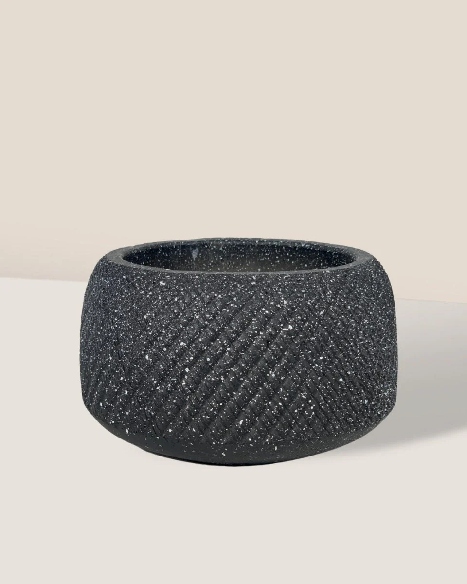 Vanga Ceramic Planter - Image 6