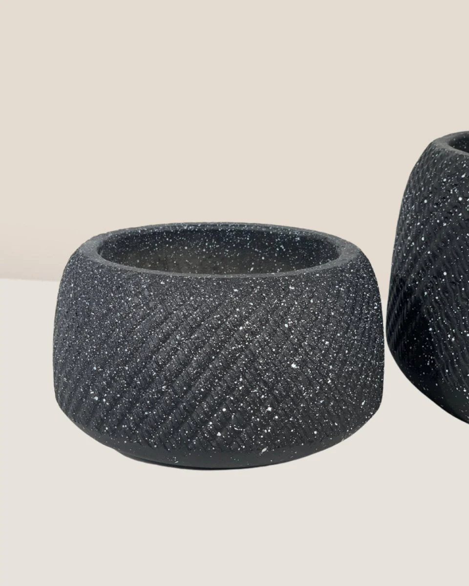 Vanga Ceramic Planter - Image 9