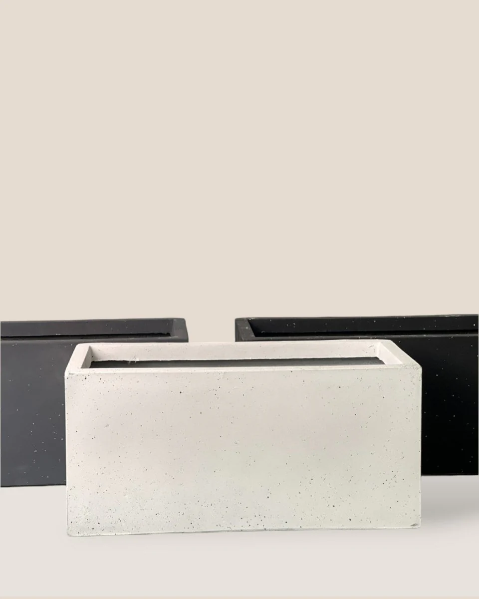 Vina Planter Box - Image 3
