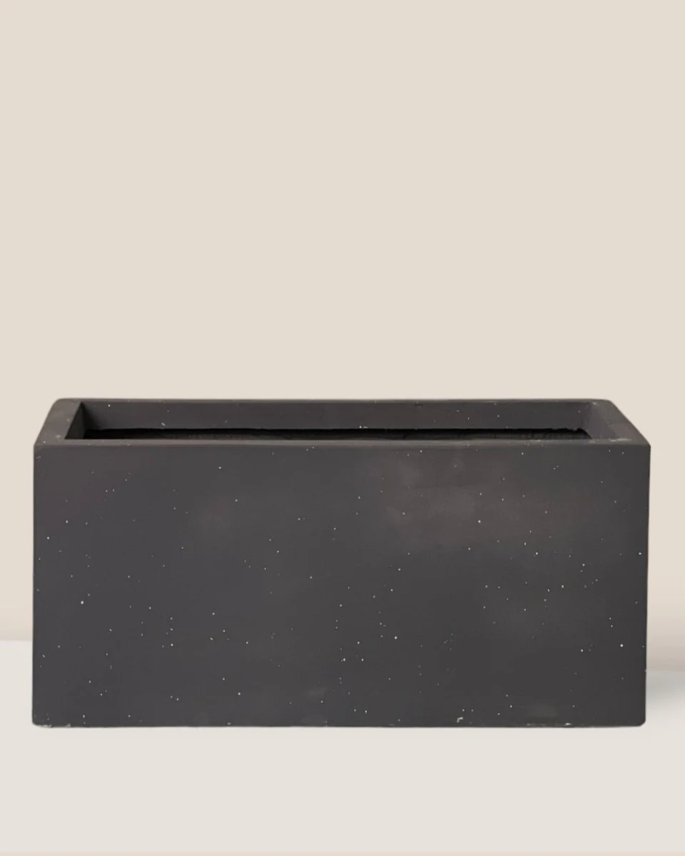 Vina Planter Box - Image 4