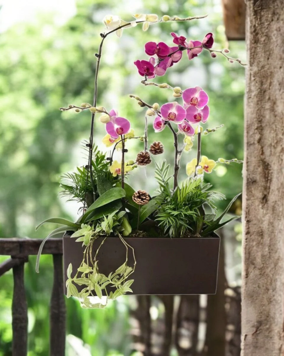 Viva HydroEase Planter Box - Image 2