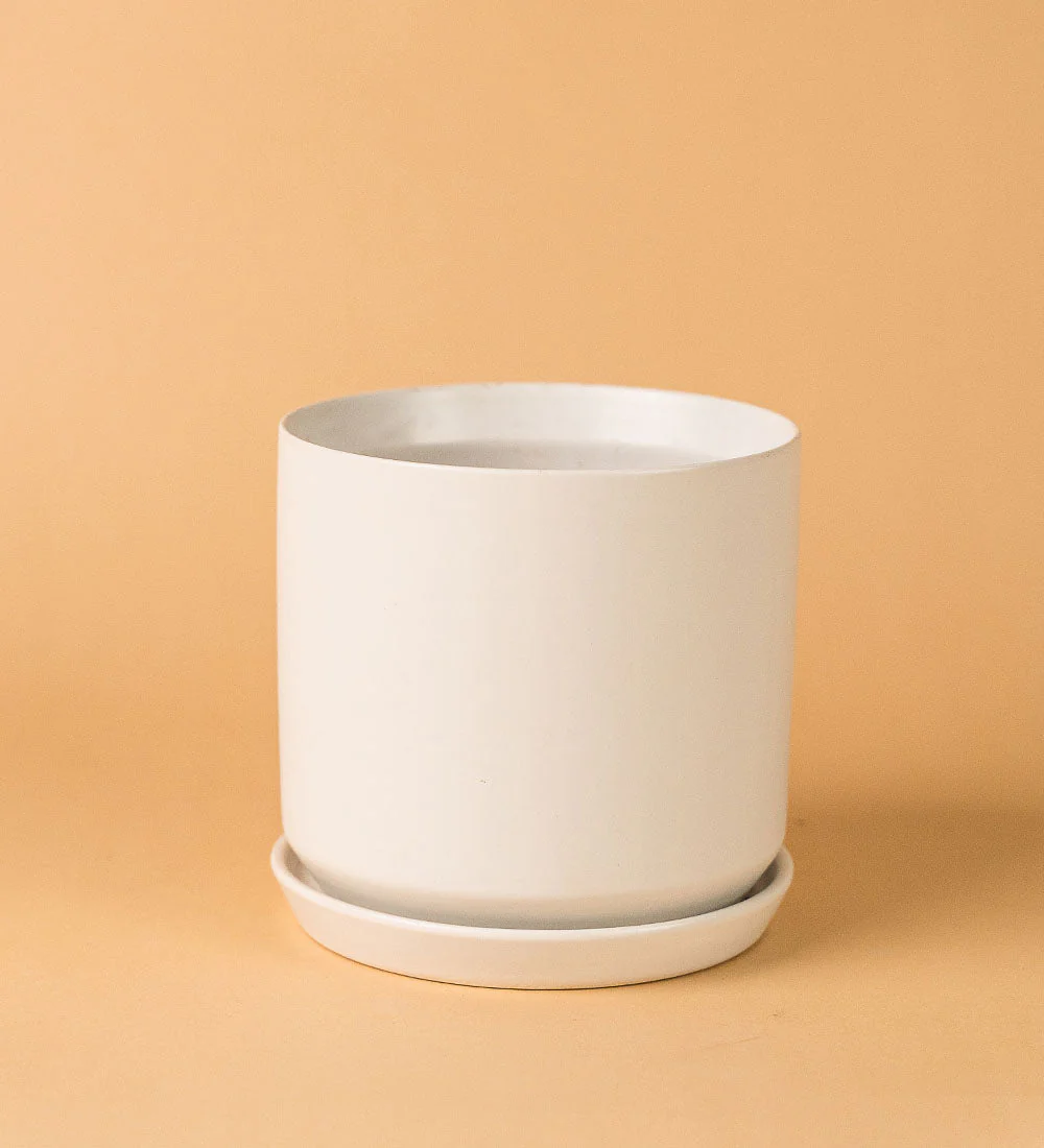 White Cylinder Pot - Image 3