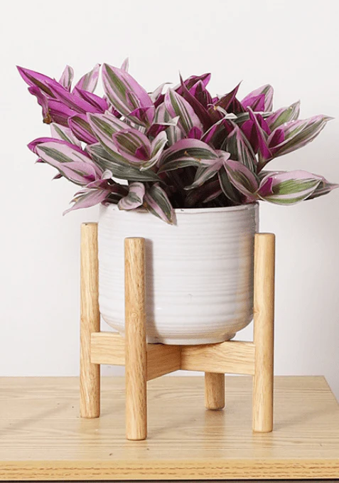 Wooden Plant Stands - Image 3