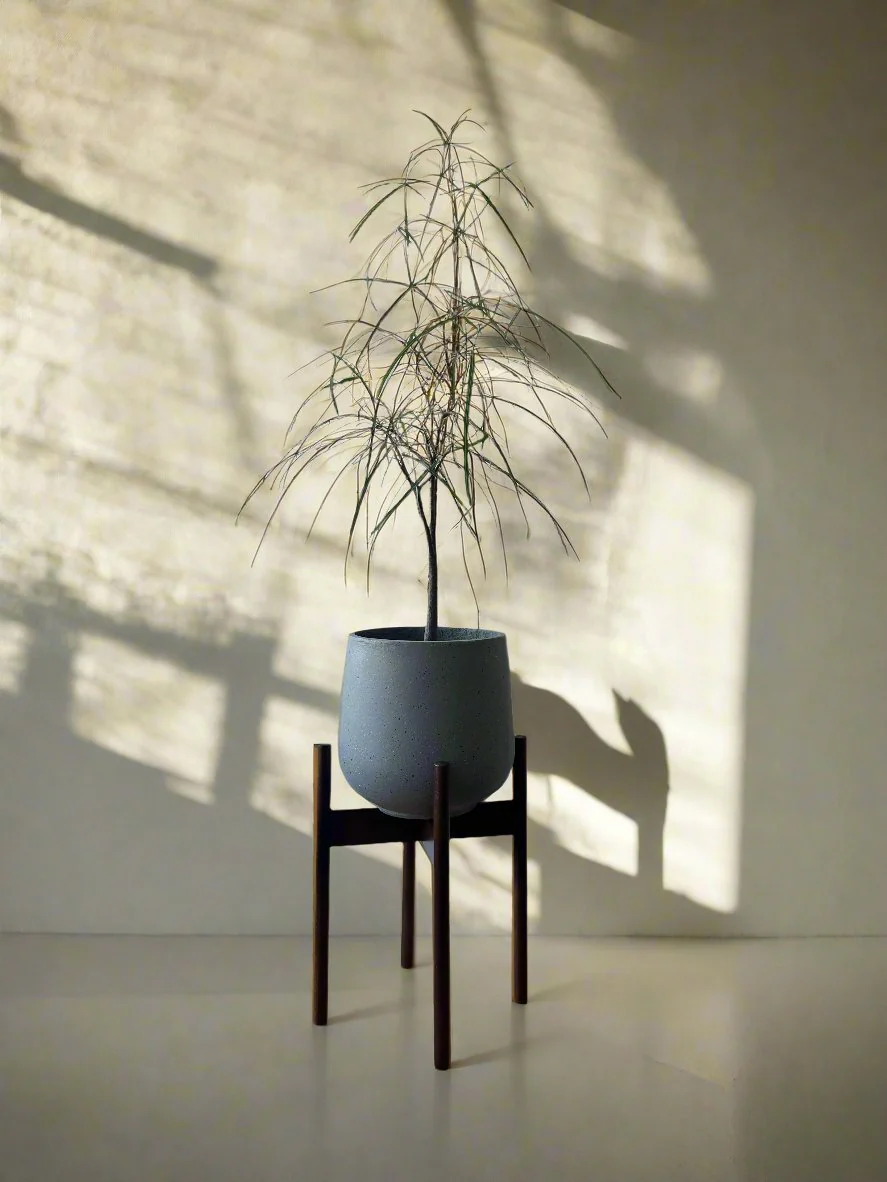 Wooden Plant Stands - Image 4