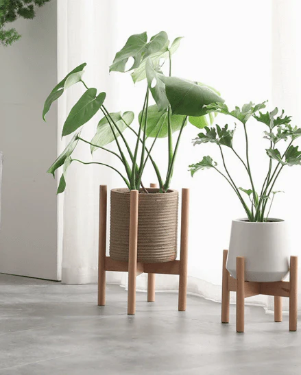 Wooden Plant Stands - Image 7