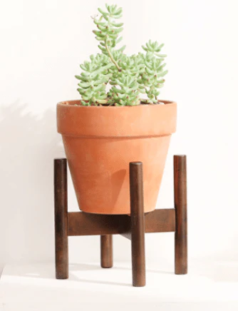 Wooden Plant Stands - Image 9