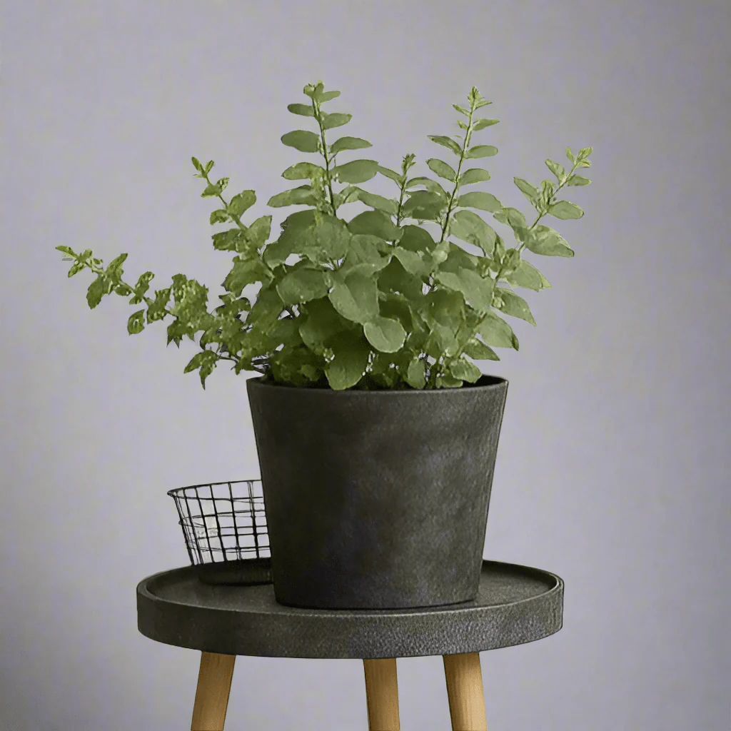 AirStone V Pot - XL - Image 7