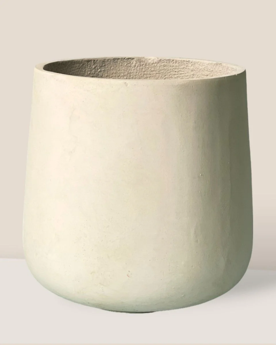 Luna Cylinder Pot XL - Image 3