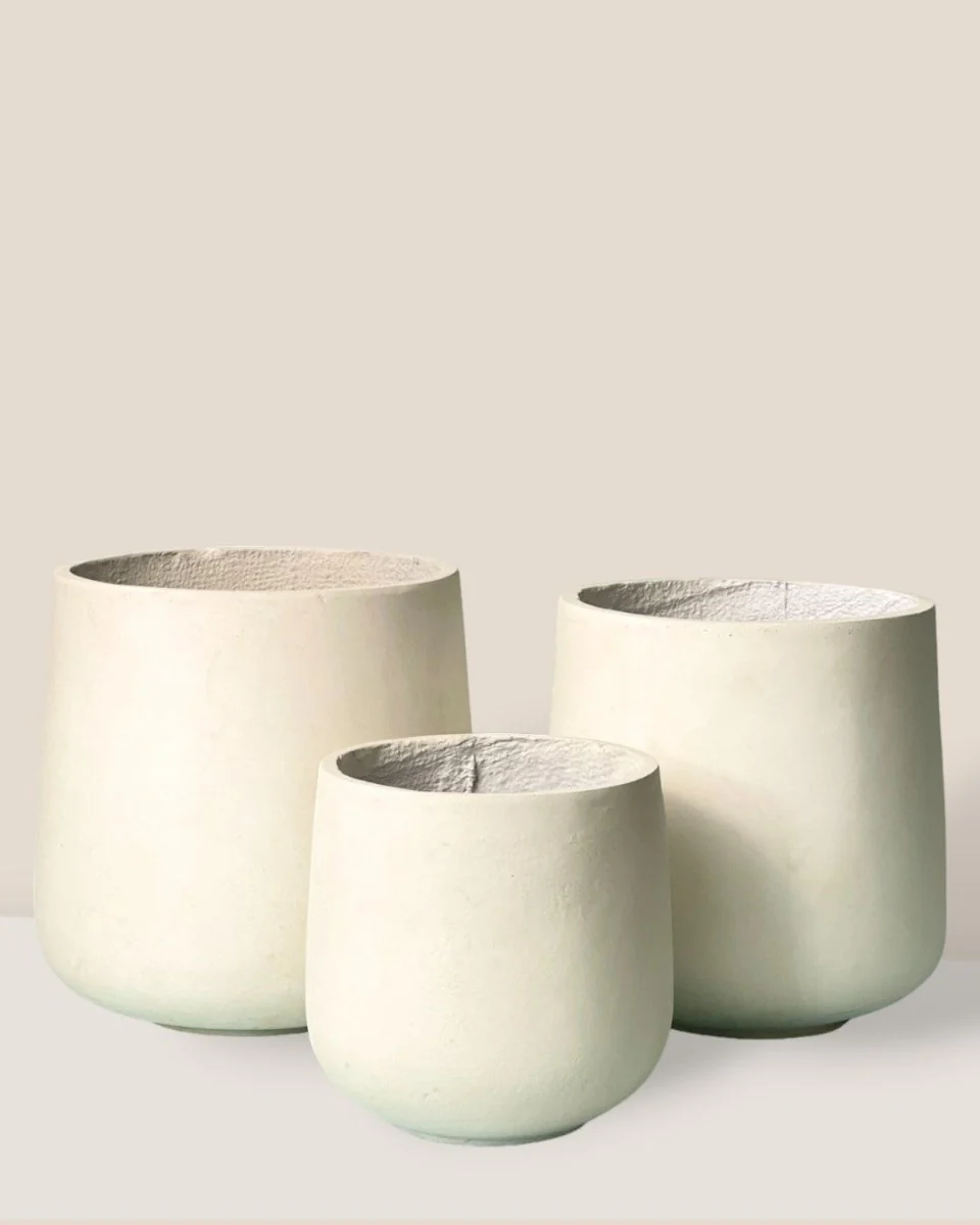 Luna Cylinder Pot XL - Image 4