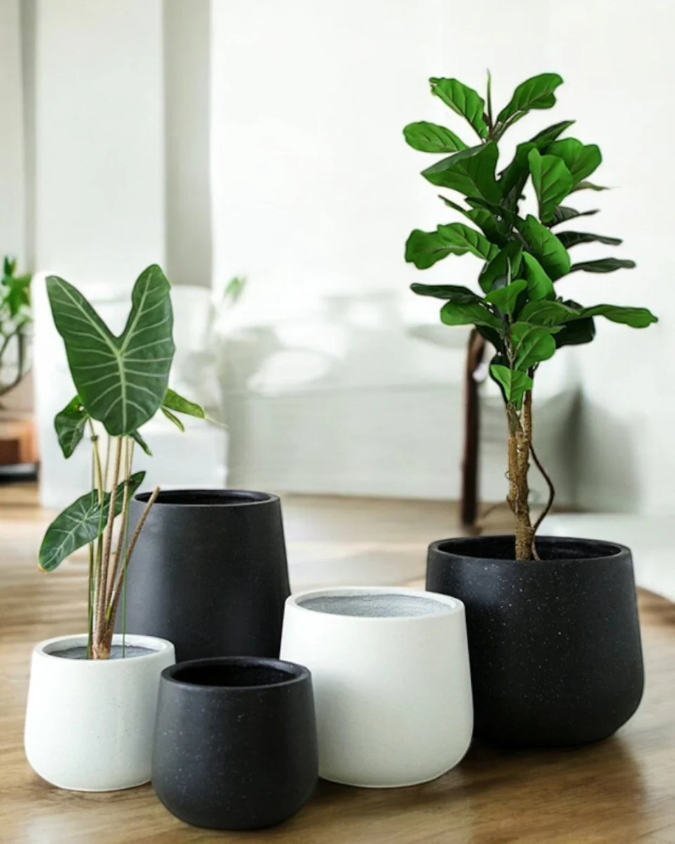 Nova Planter XL - Image 3