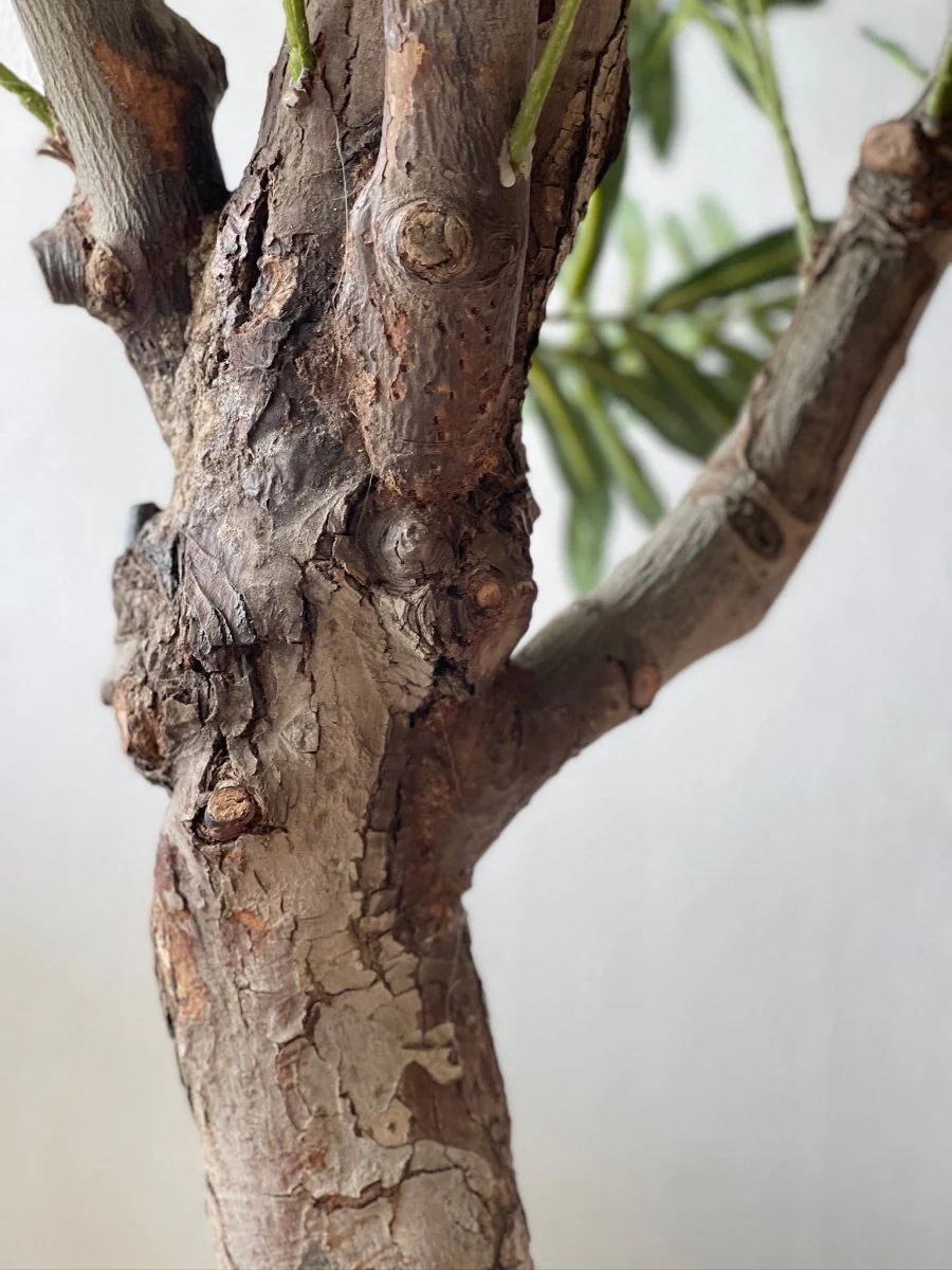 XL Olive Tree Centerpiece - Real-Trunk Artificial - Image 2