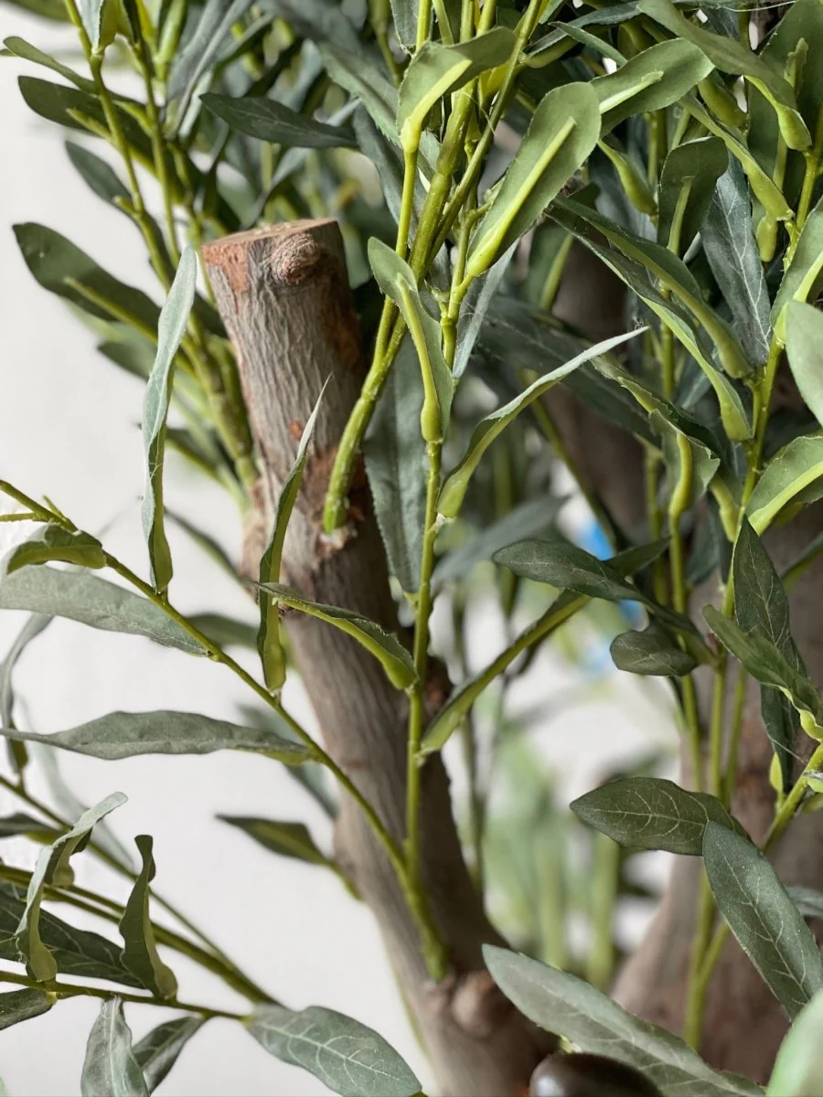 XL Olive Tree Centerpiece - Real-Trunk Artificial - Image 3