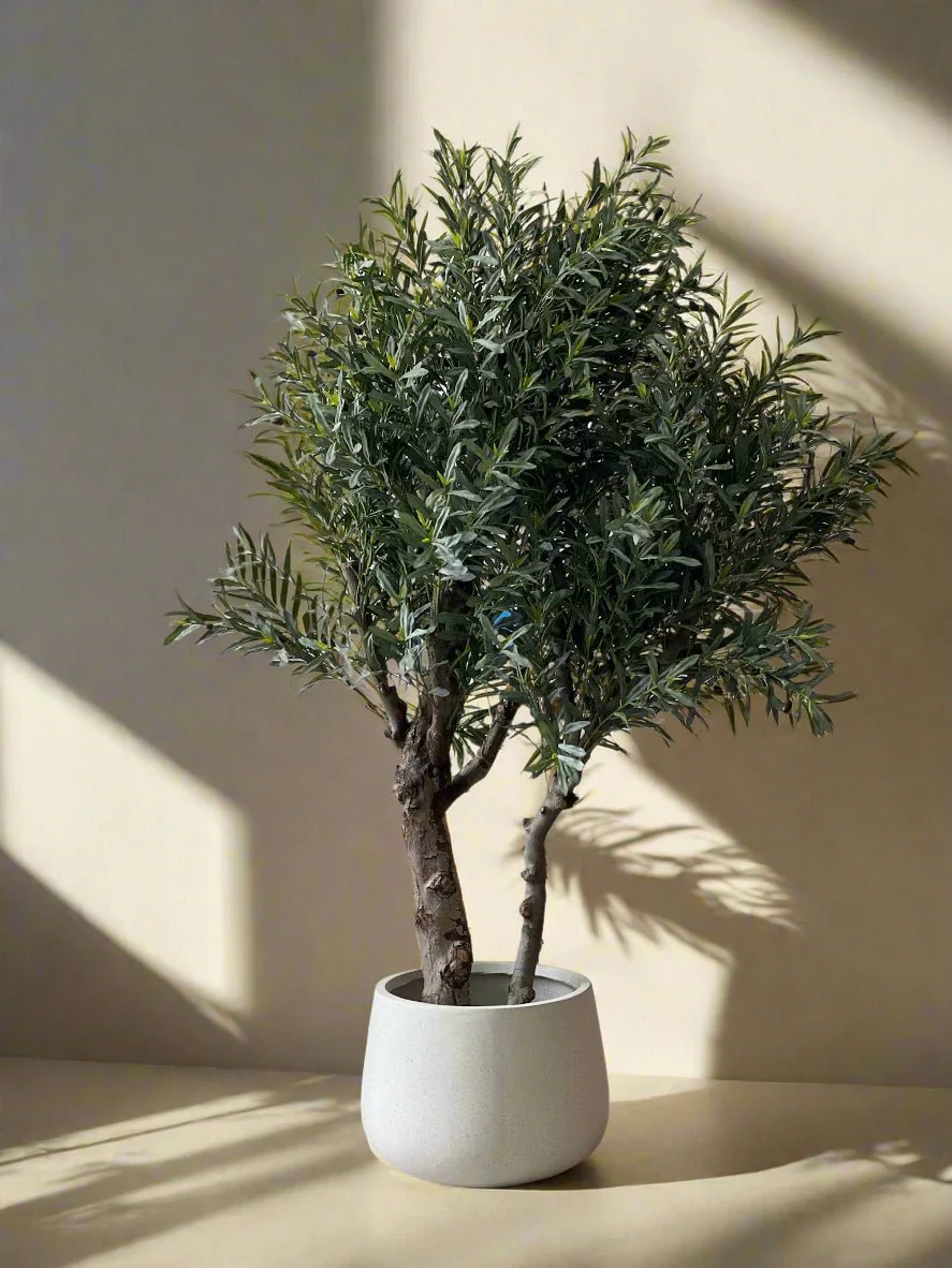 XL Olive Tree Centerpiece - Real-Trunk Artificial - Image 5