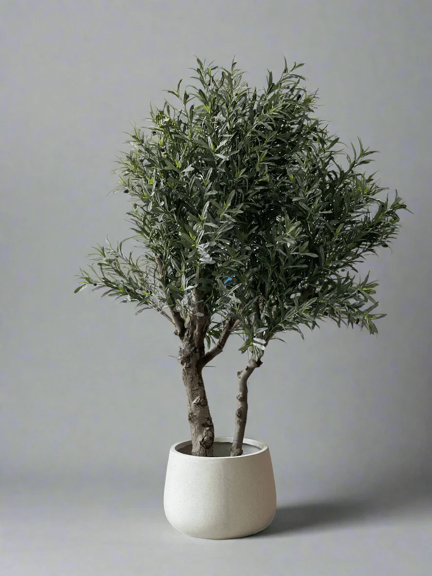 XL Olive Tree Centerpiece - Real-Trunk Artificial - Image 6