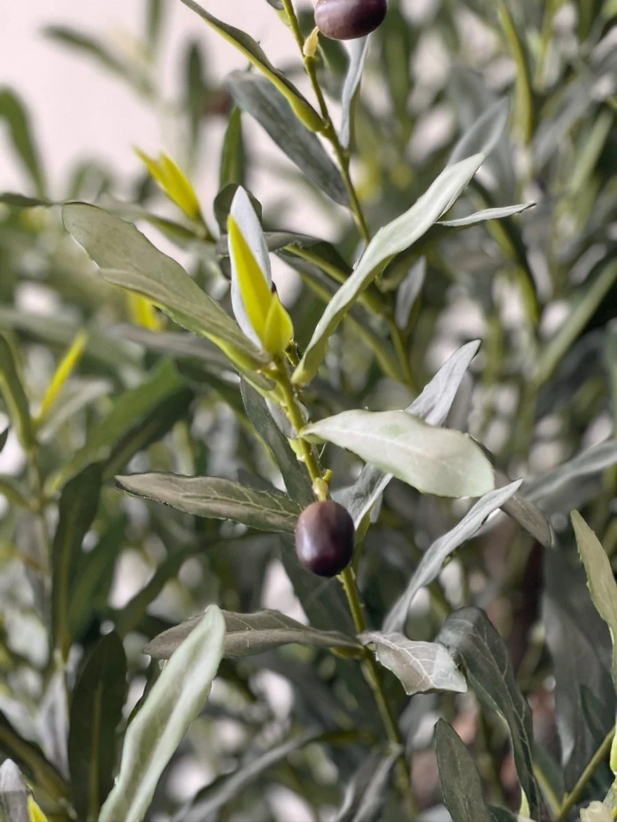 XL Olive Tree Centerpiece - Real-Trunk Artificial - Image 7