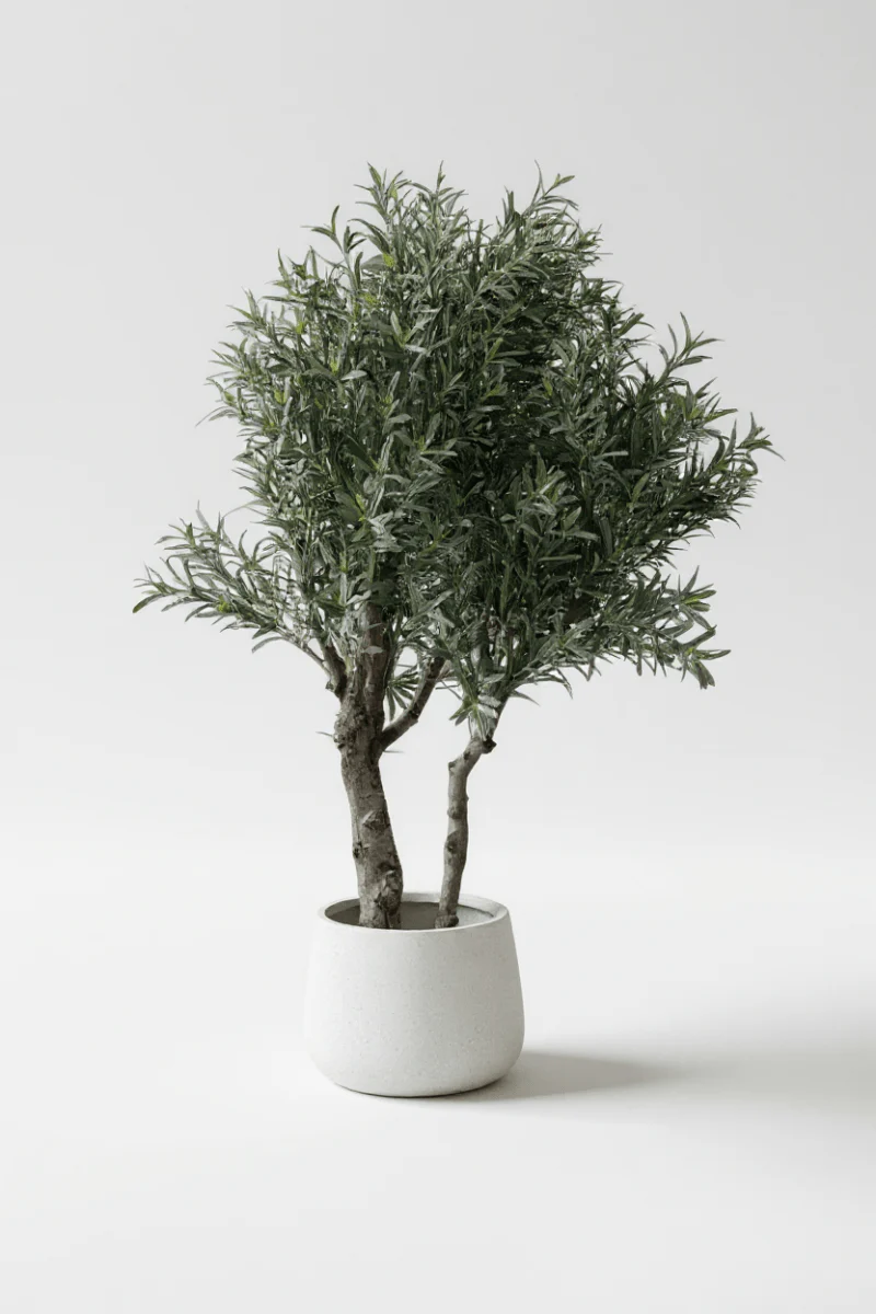 XL Olive Tree Centerpiece - Real-Trunk Artificial - Image 8