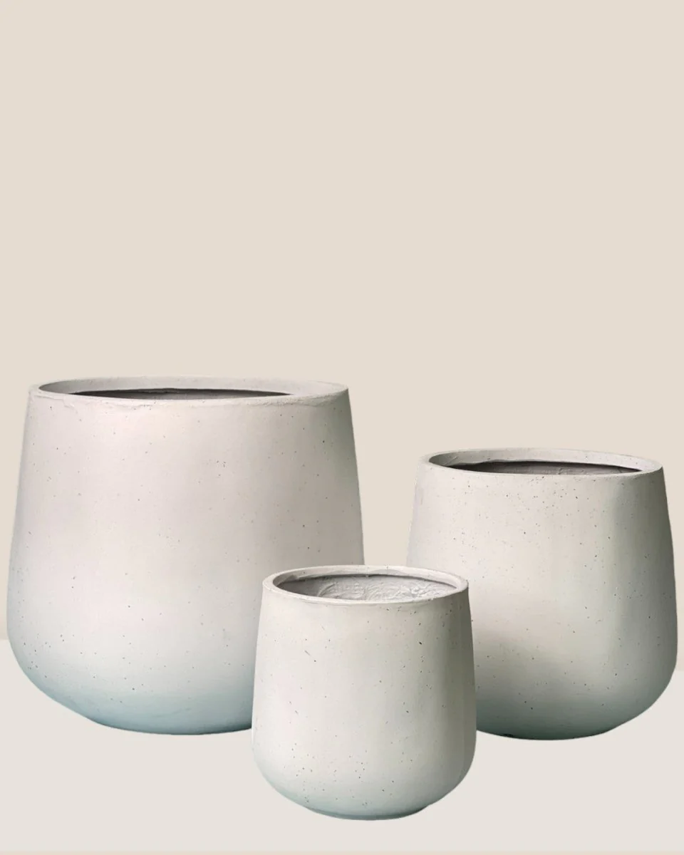Sienna XXL - Image 2