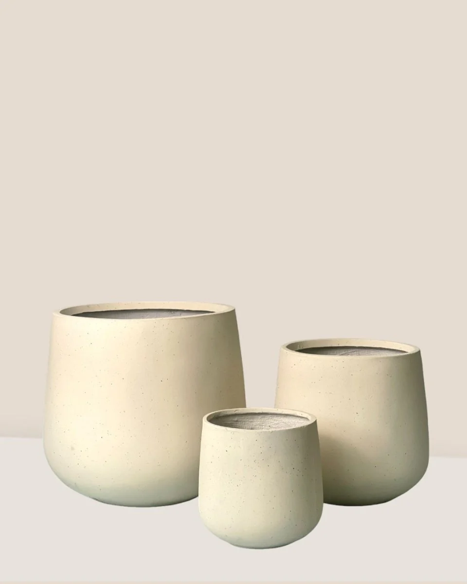 Sienna XXL - Image 5