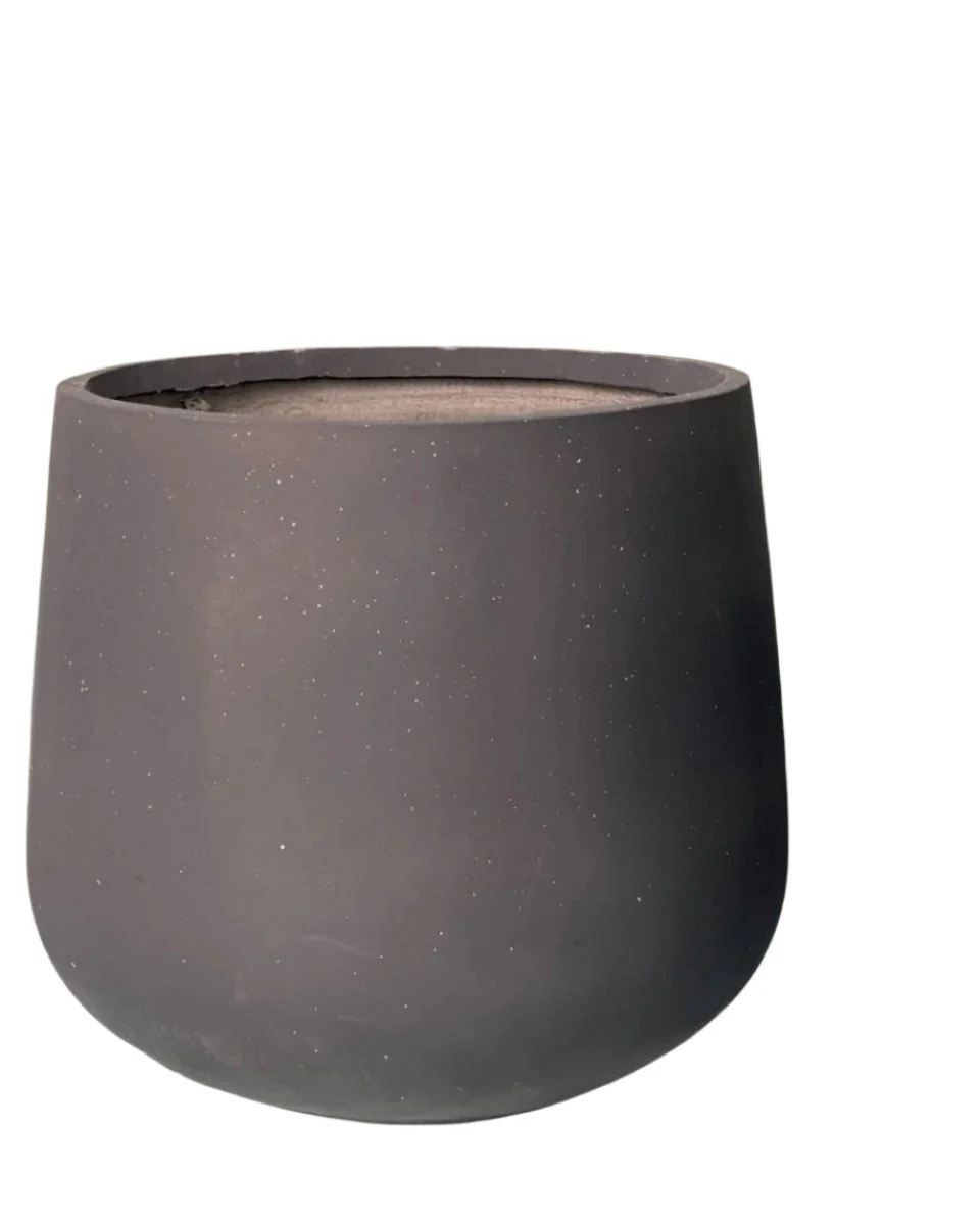 Sienna XL - Image 7