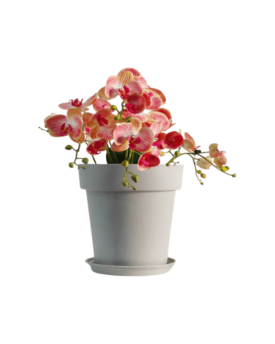 GAL Plastic Pots XXL - Image 11