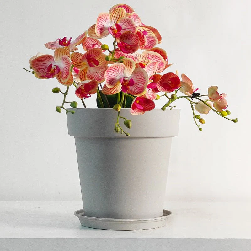 GAL Plastic Pots XXL - Image 6