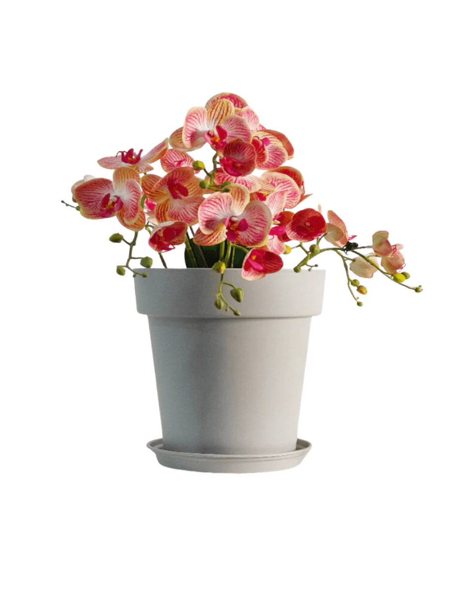 GAL Plastic Pots XXL - Image 9