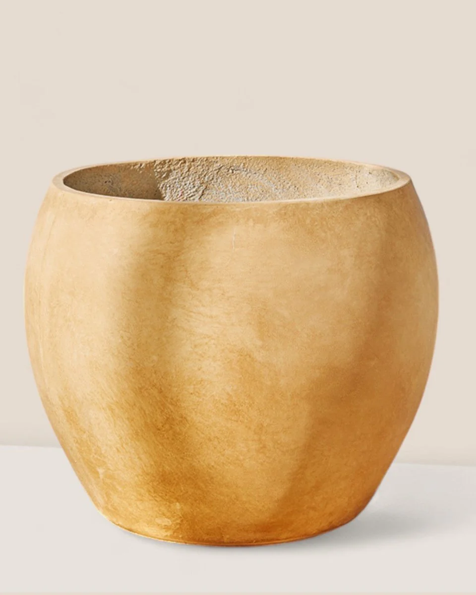 Bela Curve Planter - Image 2