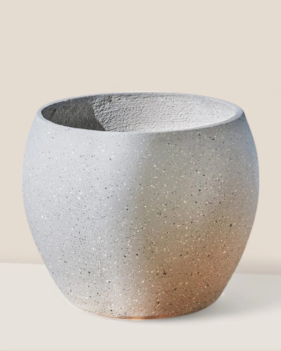 Bela Curve Planter - Image 3