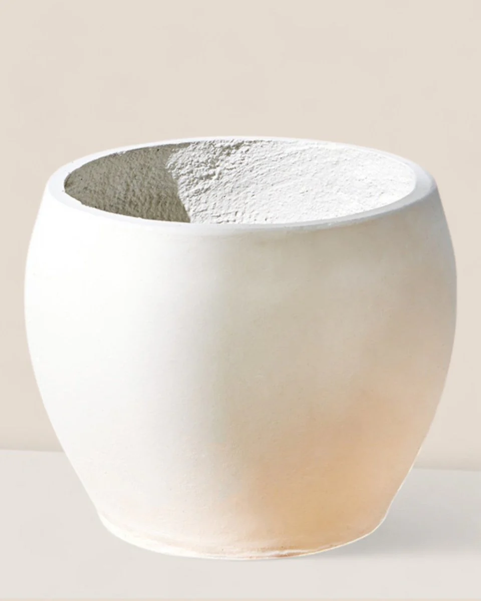 Bela Curve Planter - Image 4