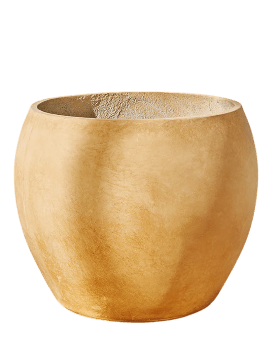 Bela Curve Planter - Image 5